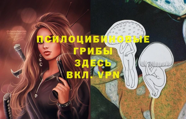 винт Аркадак