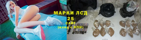 молекула духа Ростов