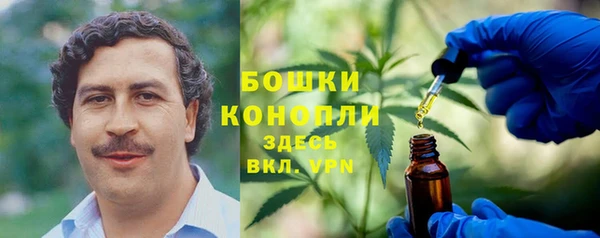 винт Аркадак
