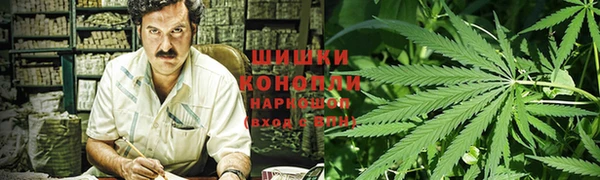 прущие грибы Арсеньев