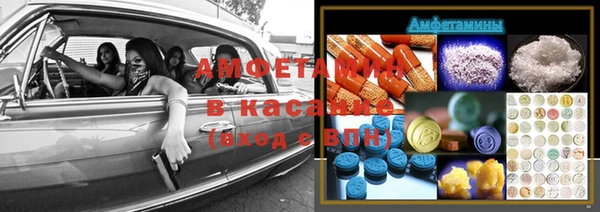 прущие грибы Арсеньев