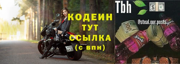 винт Аркадак