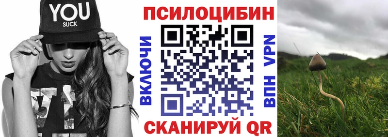 shop клад  Снежногорск  Псилоцибиновые грибы ЛСД  купить наркотик 